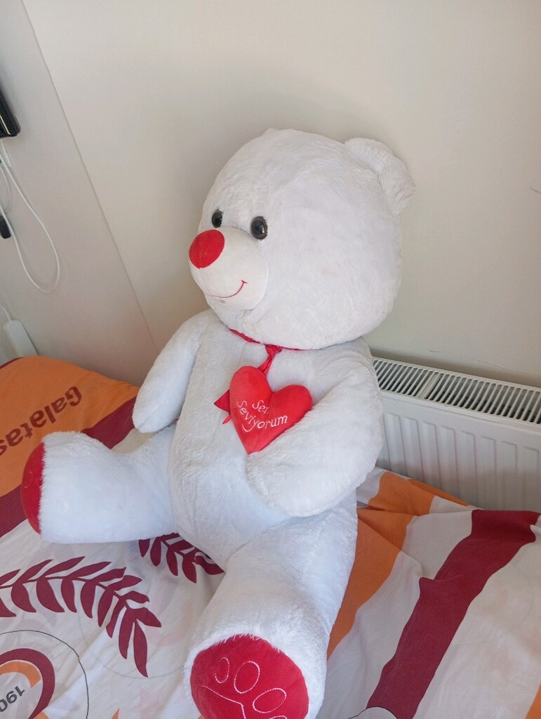 peluş oyuncak ayı - 3