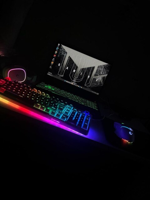 Asus Tuf Gaming a15 (19 AY GARANTİLİ)