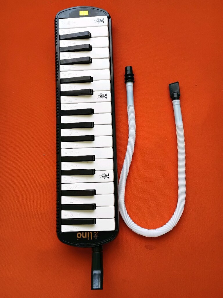 MELODİKA ORG - 4