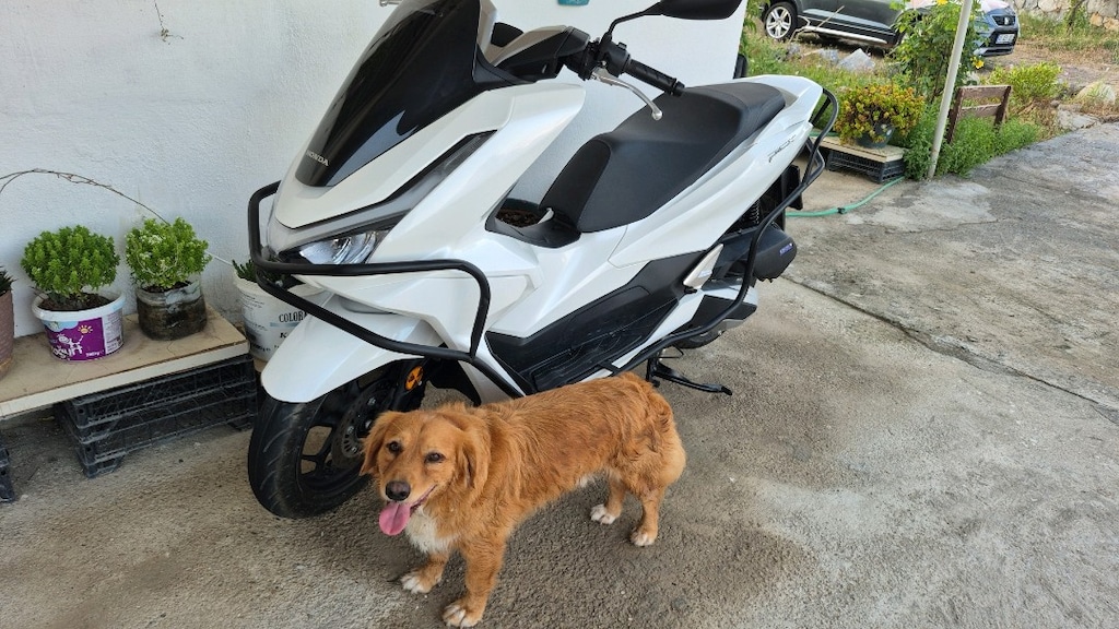 SIFIR GİBİ FULL TEMİZ Honda PCX 125 - 8
