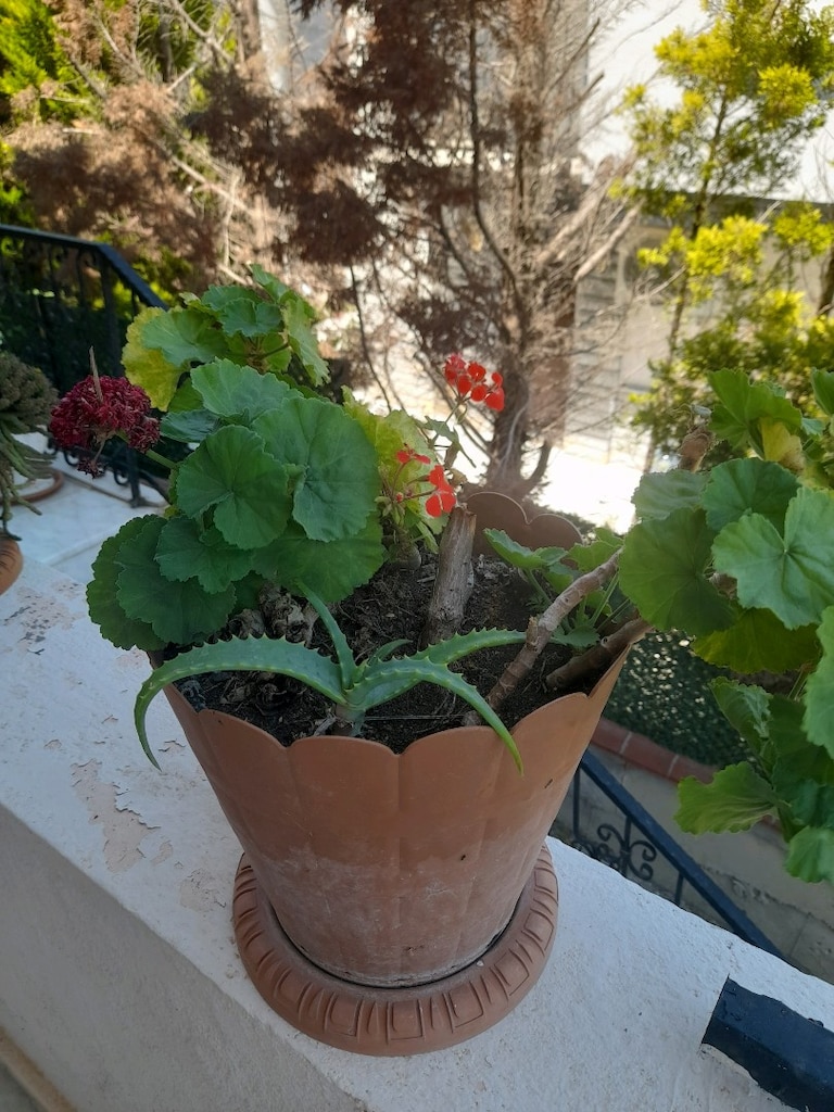 çiçek 4 adet - 4