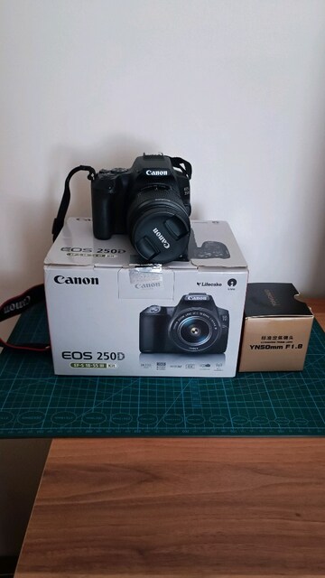 Canon EOS 250D Kit (18-55mm) + Yongnuo 50mm f/1.8 Lens