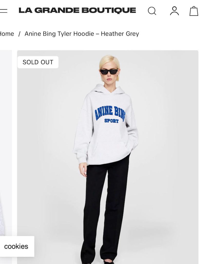 anine bing sweatshirt hoodie kapüşonlu - 11