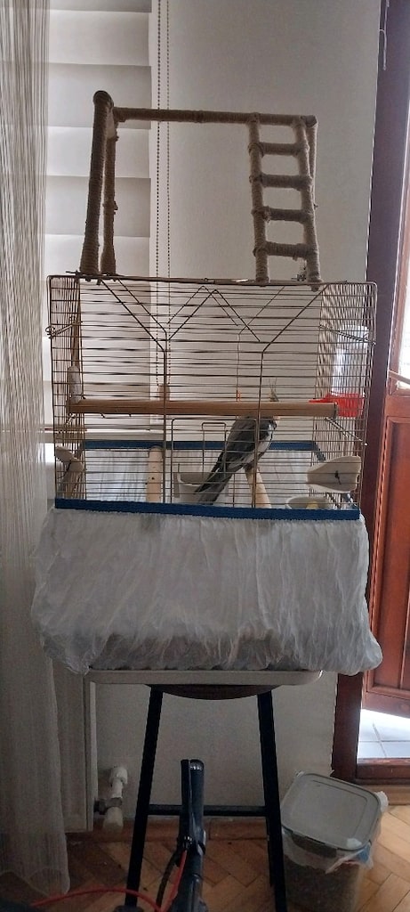 Büyük Boy Papağan Kafesi - 2