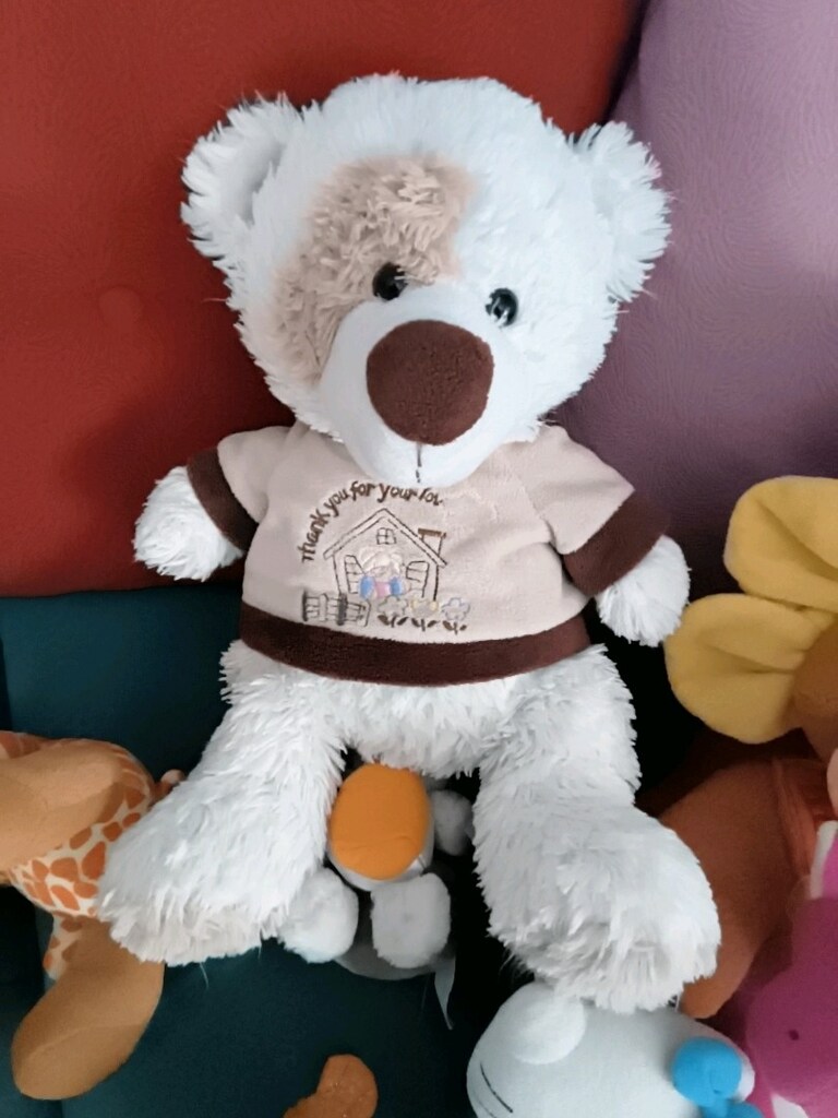pelüş oyuncaklar - 4
