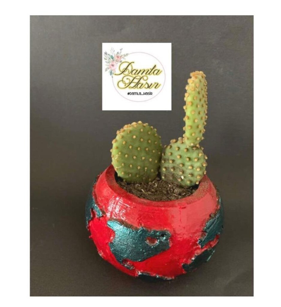 Saksı - 3
