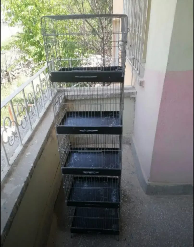 5 Kuş kafesi - 2