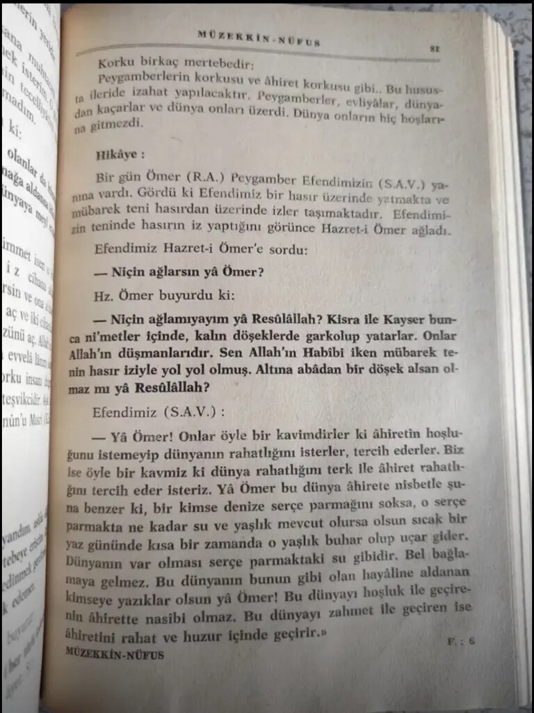 Müzekkin Nüfus - 6