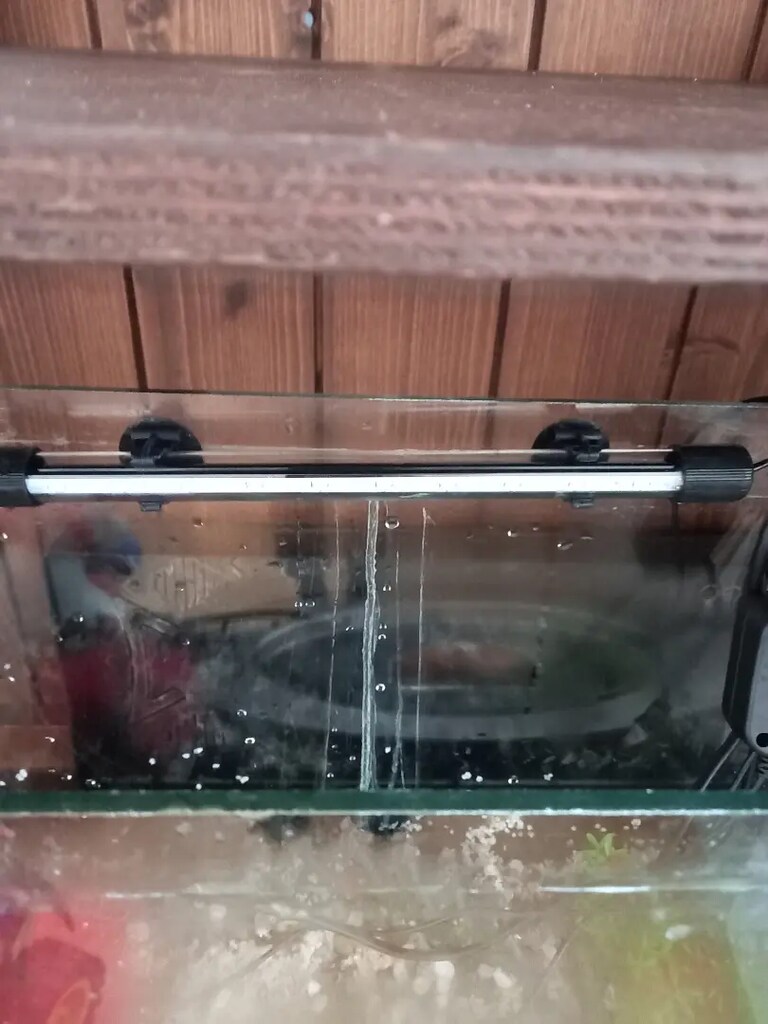 48 cm tam takım full akvaryum - 2