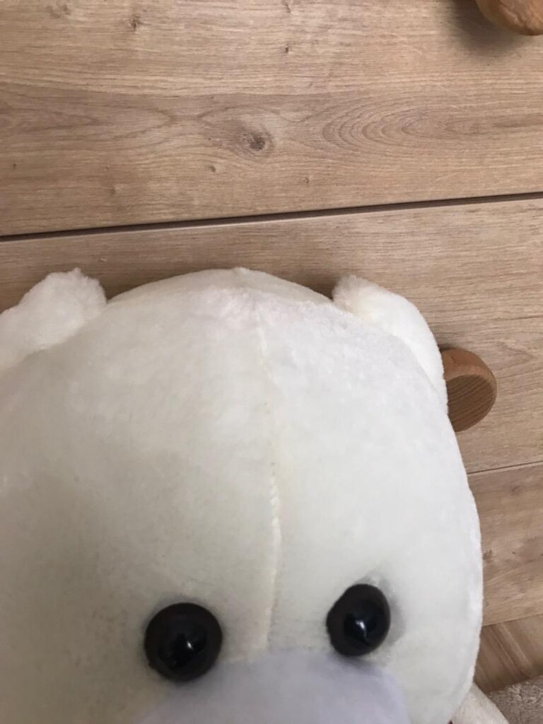 Peluş ayı - 3