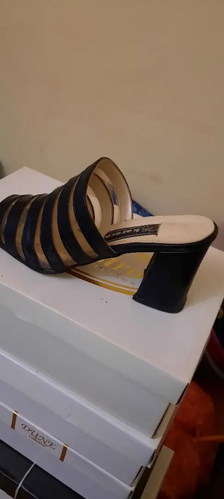 Şeffaf rugan dekolteli zebra topuklu terlik - 6