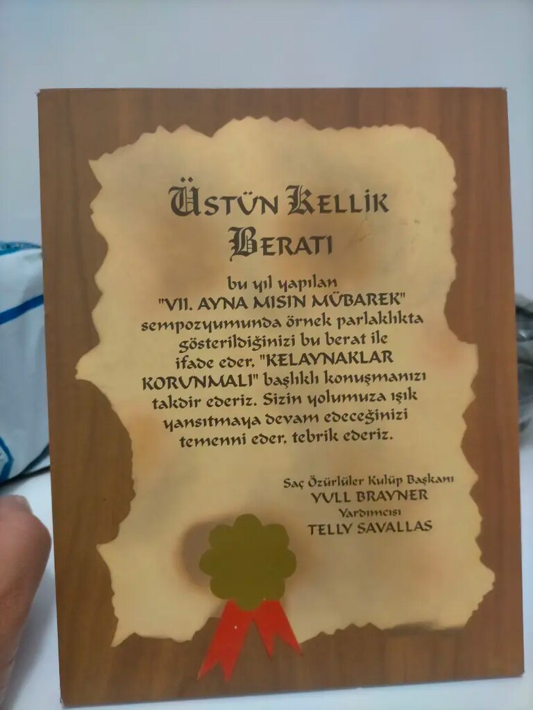 Plaket - 2