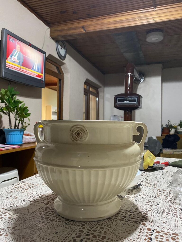 Beyaz saksı - 3