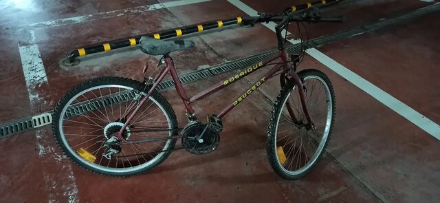 Peugeot Mosaique bisiklet