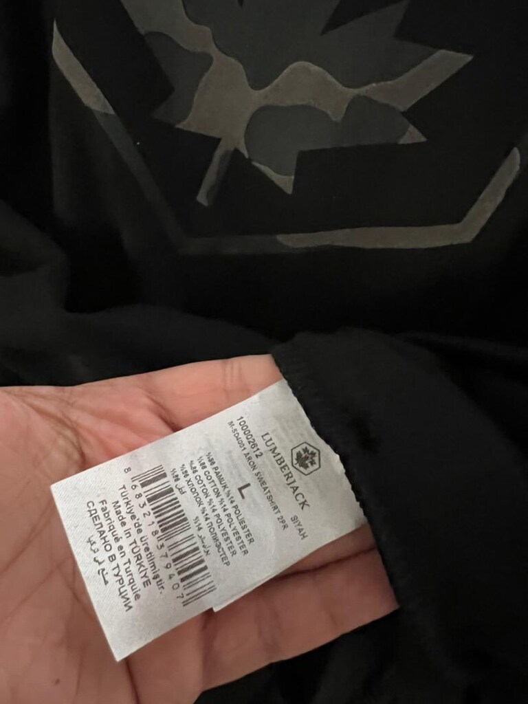 Lumberjack Renato Logolu Siyah Erkek Sweatshirt - 4