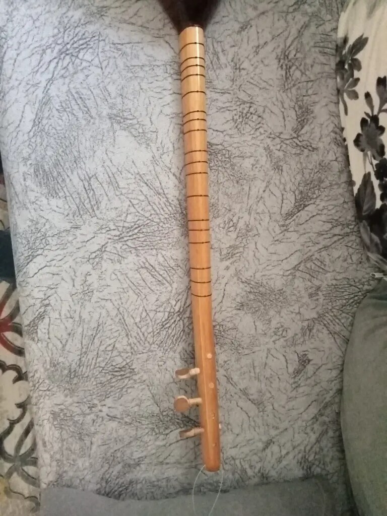 Maun ağacı saz - 7