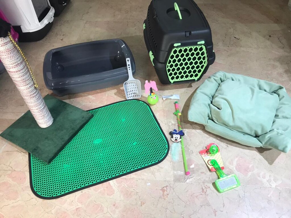 Kedi tuvalet ve bakım seti - 3