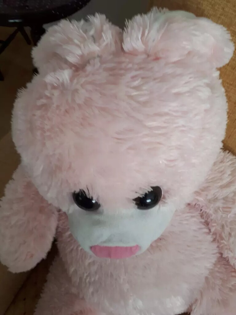 Pelus pembe ayı - 4