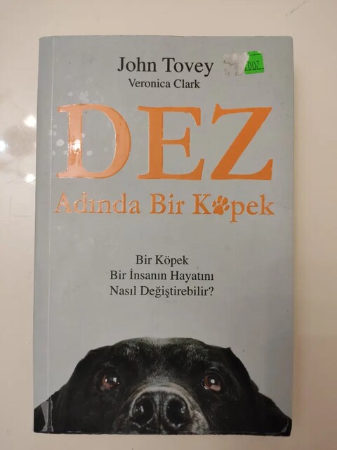 Dez adında bir köpek John tovey