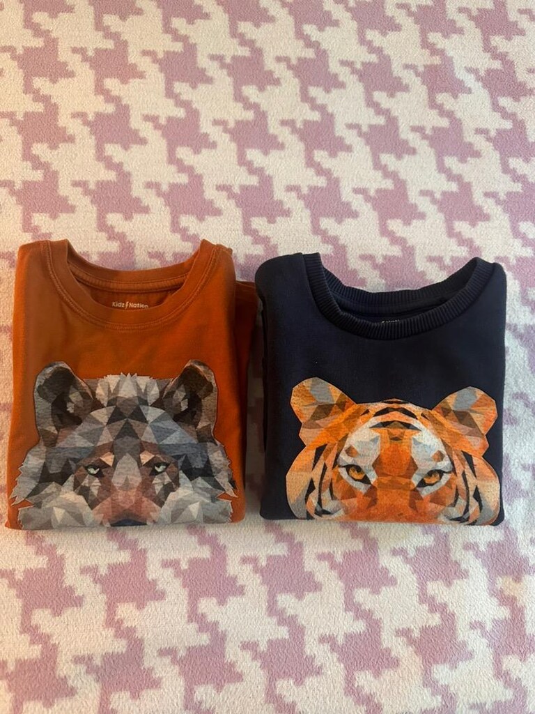İki adet kids nation marka 2-3 yaş erkek çocuk sweatshirt - 2