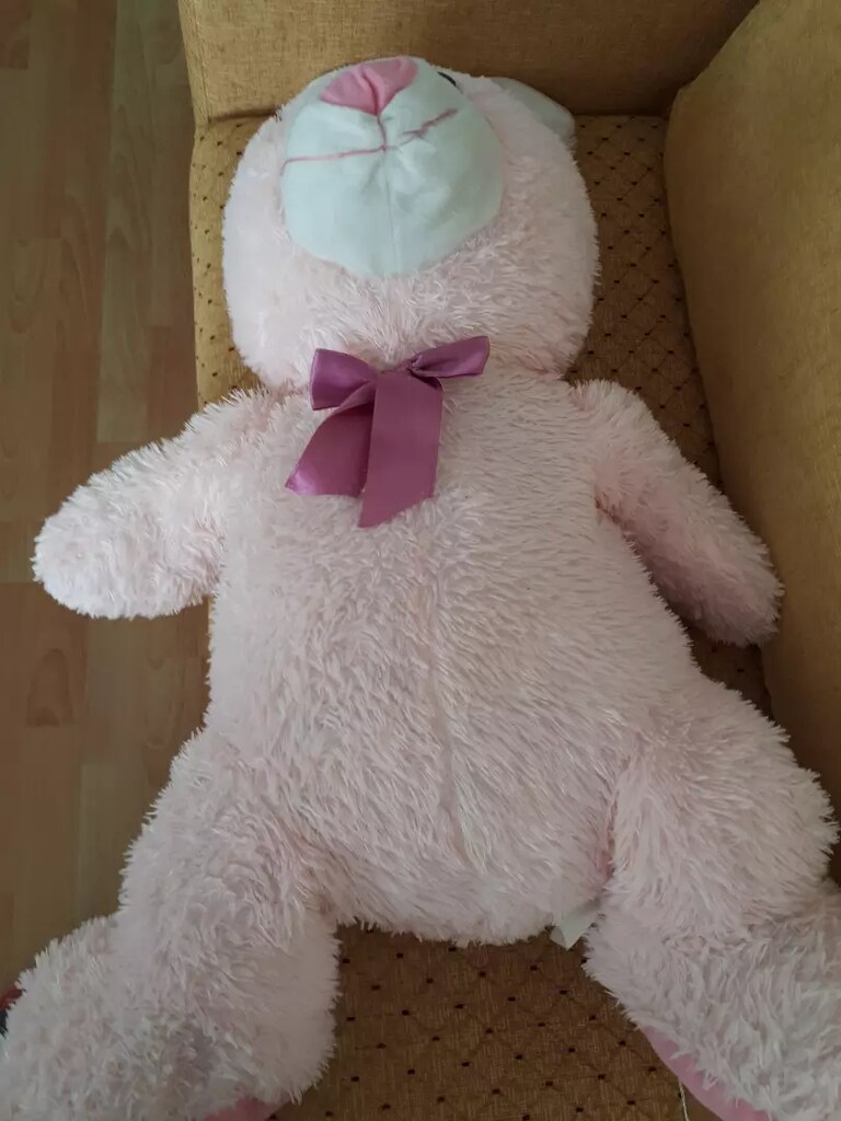Pelus pembe ayı - 3