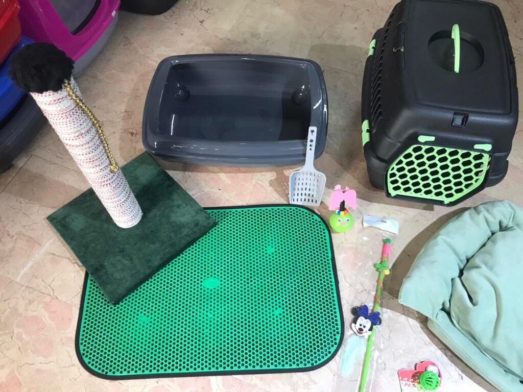Kedi tuvalet ve bakım seti - 5