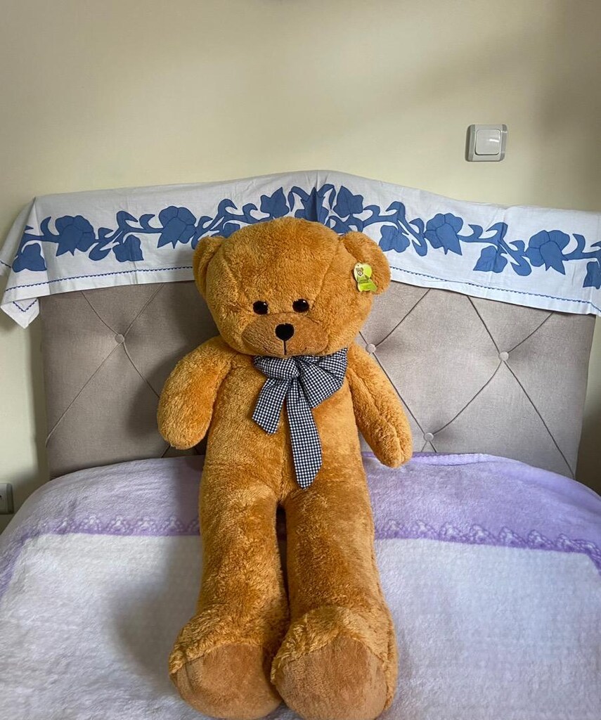Peluş ayıcık - 2