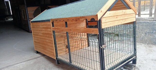 Köpek kulubesi
