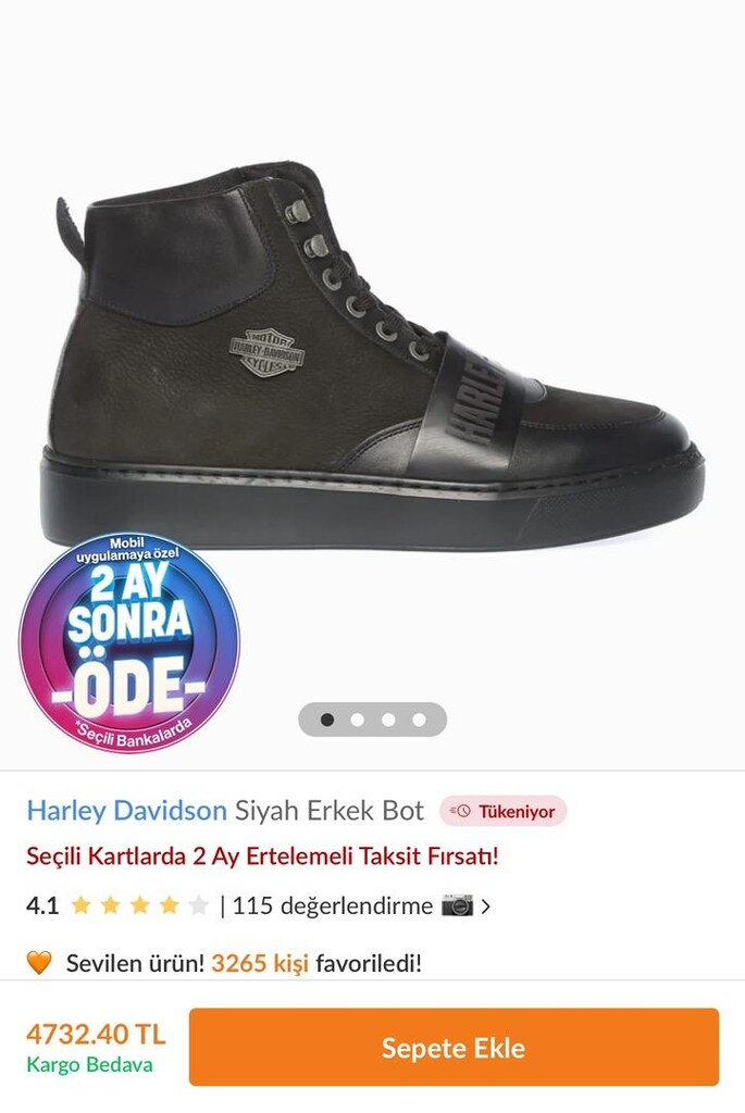 HARLEY DAVİDSON ERKEK BOT - 8