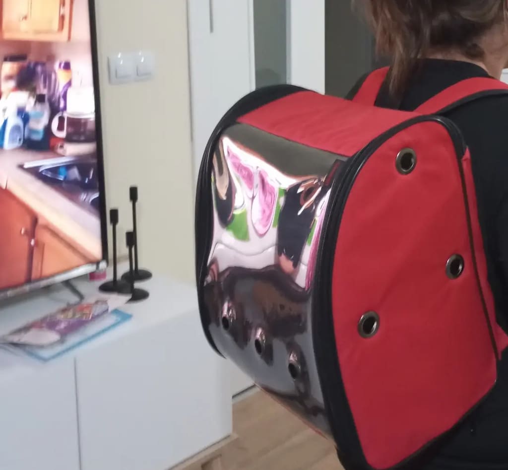 Kedi çantası, mama kabı, tuvaleti ve diğer - 6