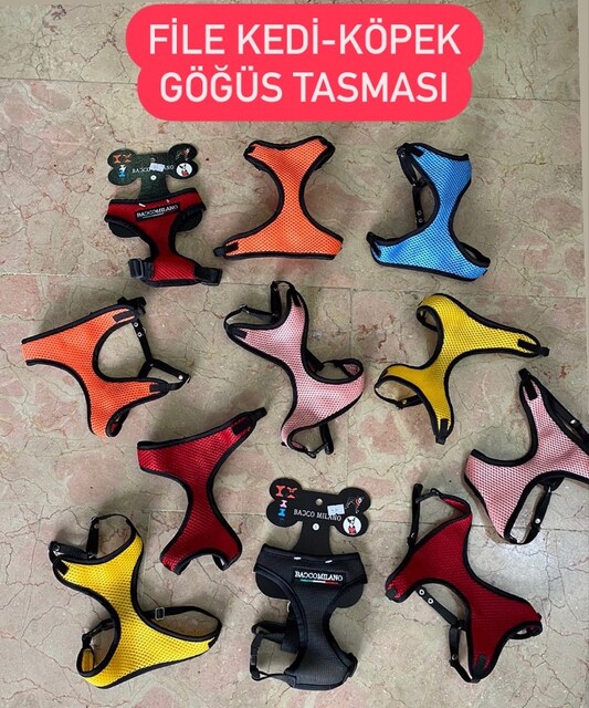 File gögüs tasma