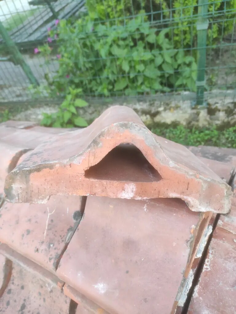 Bahçe duvar üstü omurga harpuşta süs taşı - 3