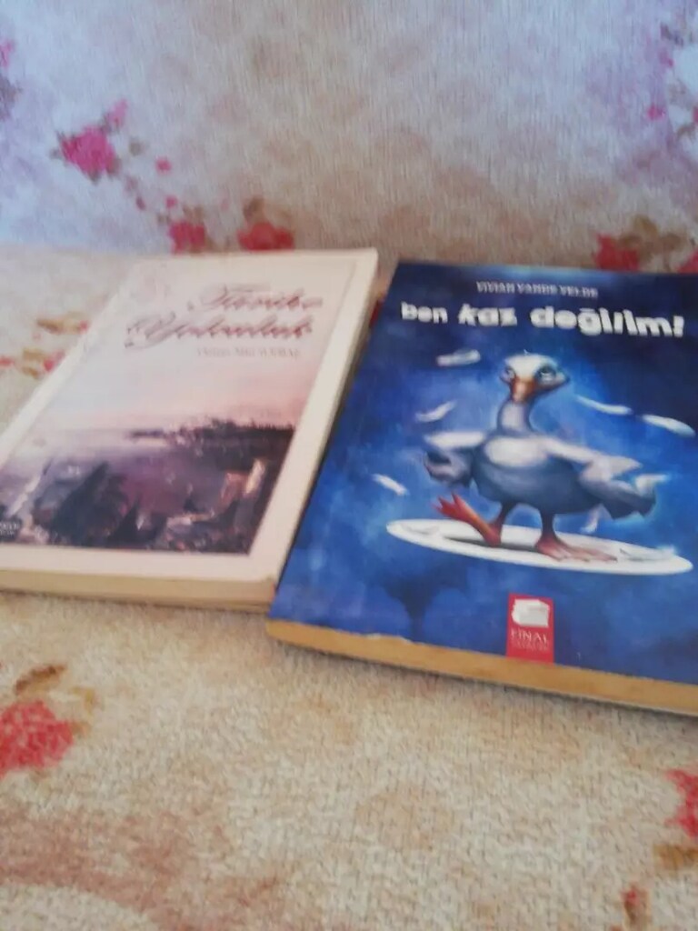 Çeşitlikitaplar - 2