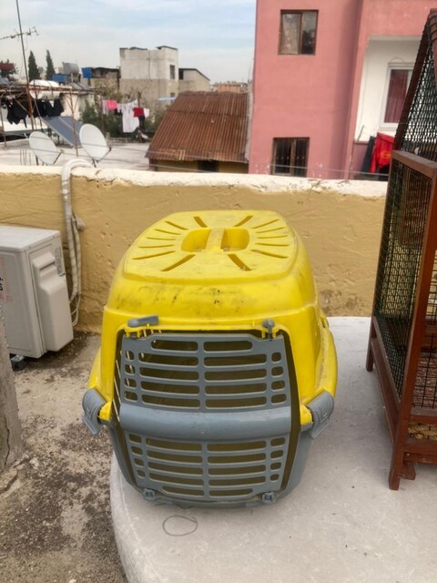 Hayvan taşıma çantası