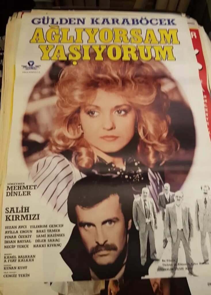 Sinema afişi - 3