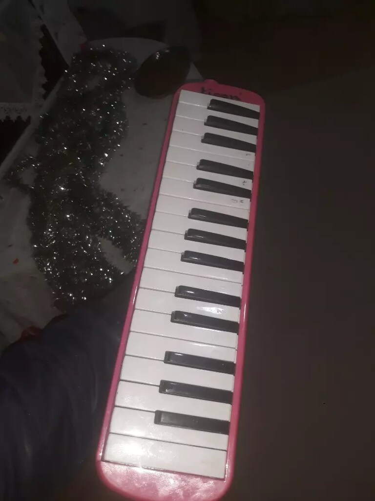 32 tuş melodika - 6