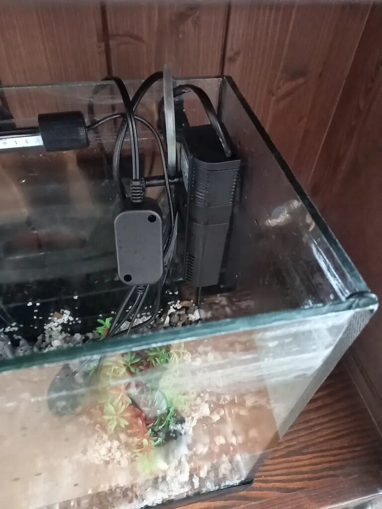 48 cm tam takım full akvaryum - 3