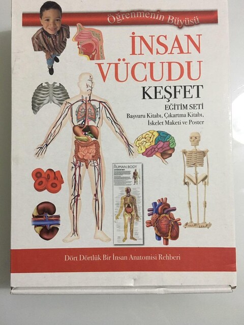 İnsan Vücudu Keşfet okul Eğitim Seti