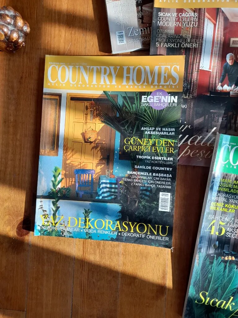 Country homes iç dekorasyon ev stil dergiler - 5