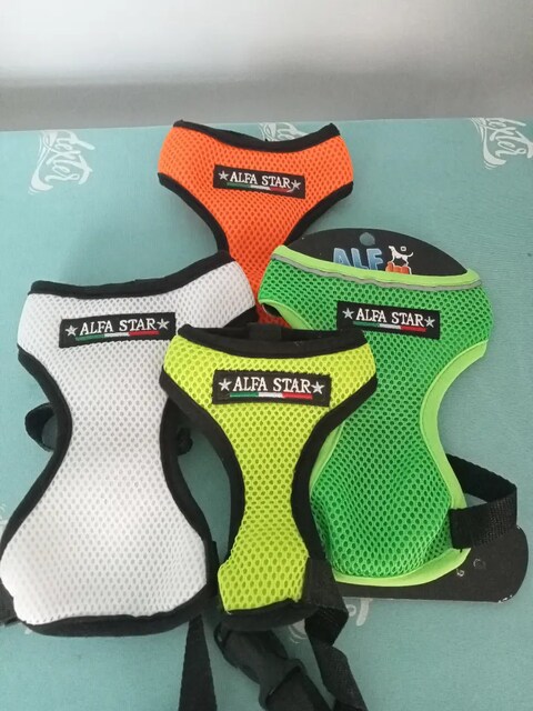 Köpek göğüs tasma