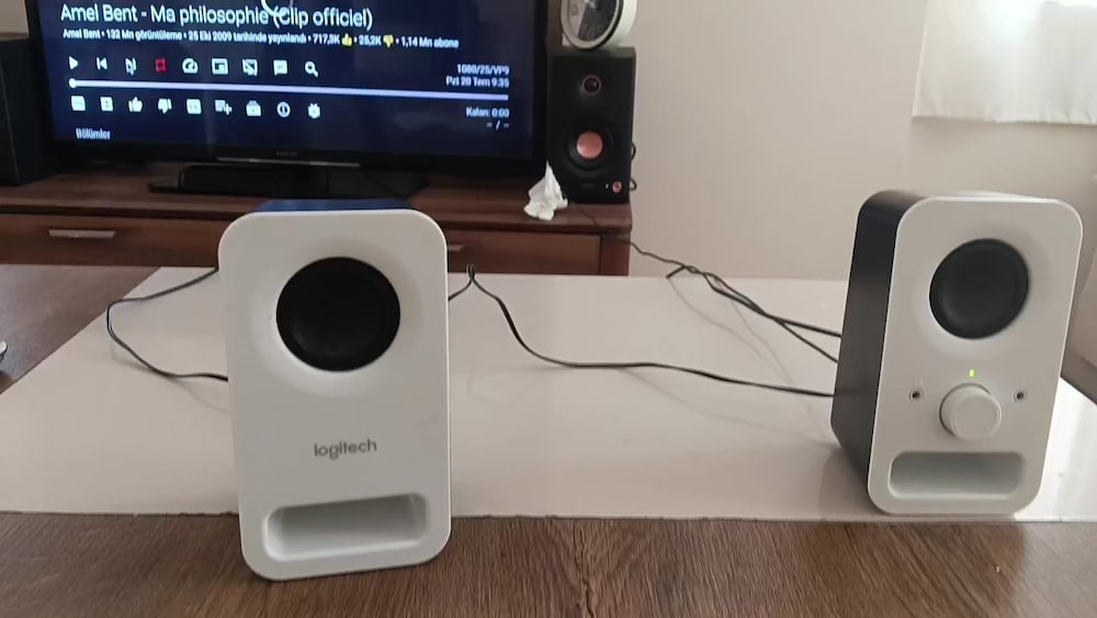Logitech Z150 2.0 Hoparlör - 2