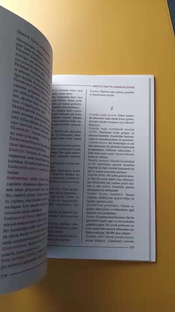 Hafta Hafta Hamileliğiniz Kitabı - 2