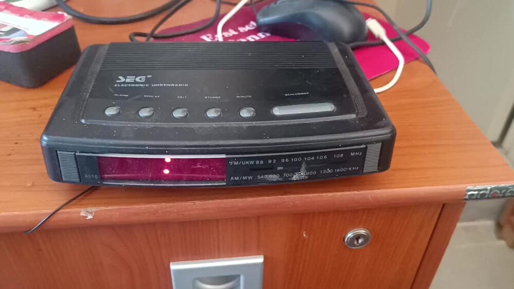 SEG Dijital Çalar Saat Radyo Alarm - 2