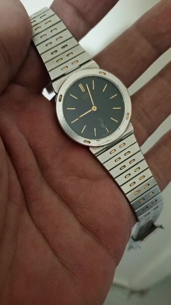 citizen ouartz japan yaprak kasa - 2
