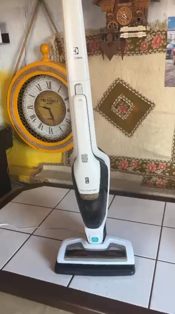 Electrolux EER7ALLRGY Dikey Şarjlı Süpürge - 2