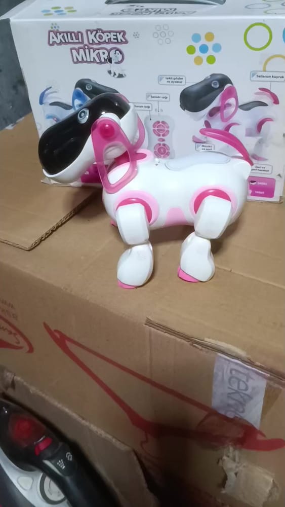 Akıllı Robot Köpek - 2