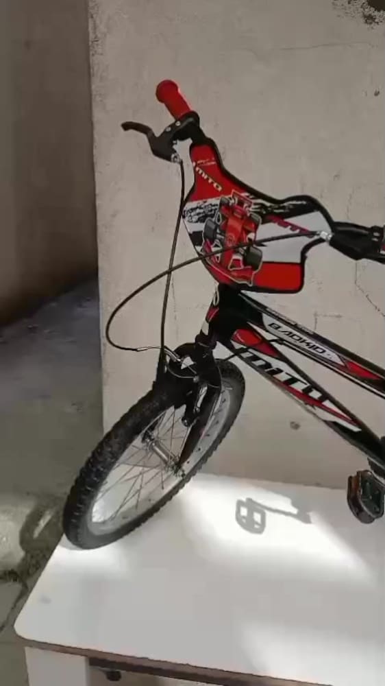 2. El Mito Badkid XL 20'' Jant Çocuk Bisikleti - 2
