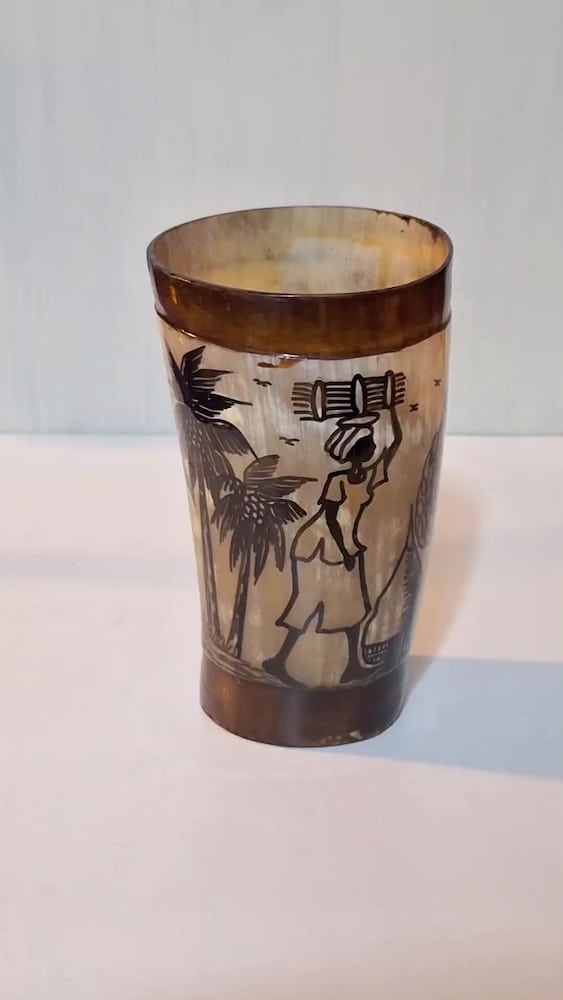 Afrika bizon boynuzu - 2