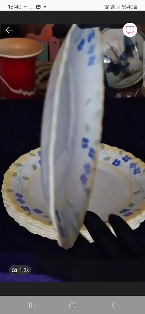 Arcopal Fransız Tabaklar 6 adet - 2